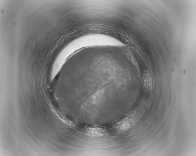 X0000087630408200705181505