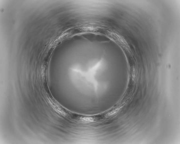 X0000087630409200705181505