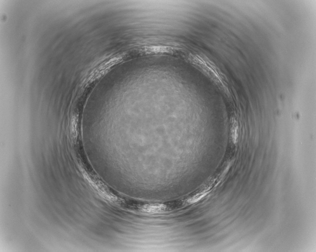 X0000087630410200705181505