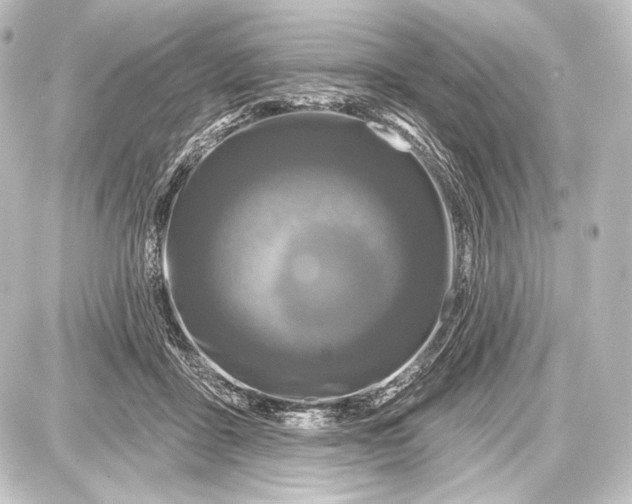 X0000087630411200705181505