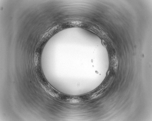 X0000087630412200705181505