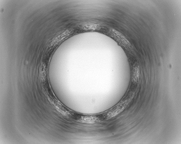 X0000087630414200705181505