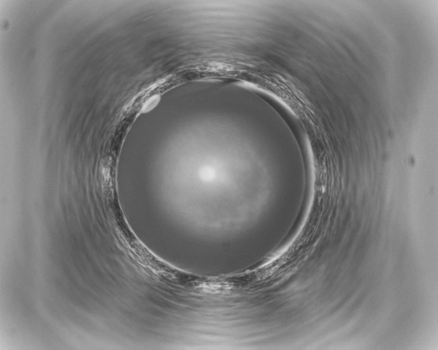 X0000087630415200705181505