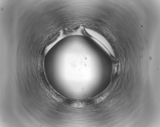 X0000087630416200705181505