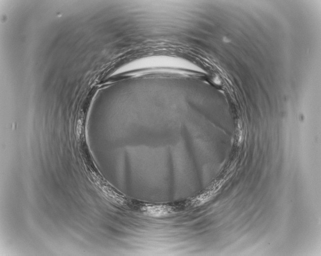 X0000087630417200705181505