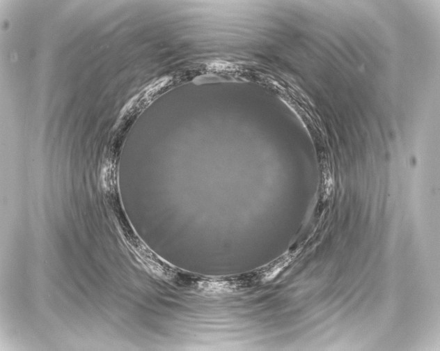 X0000087630419200705181505