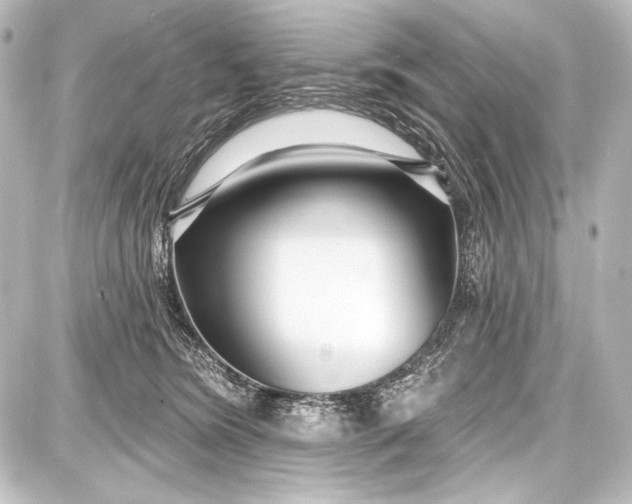 X0000087630420200705181505