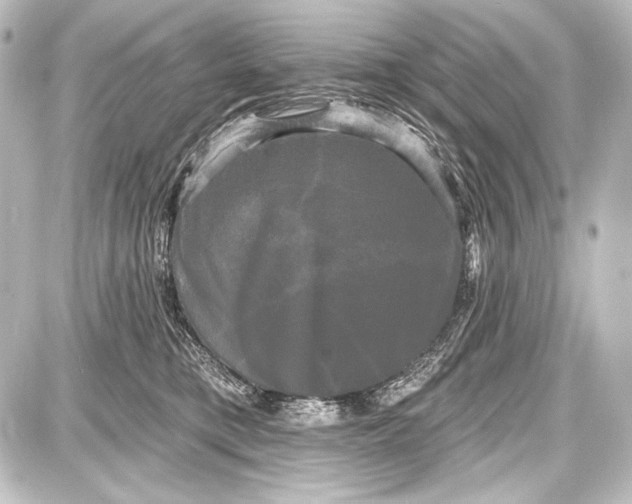 X0000087630421200705181505