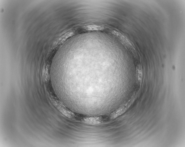 X0000087630422200705181505