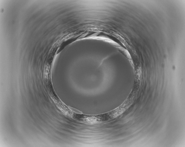 X0000087630423200705181505