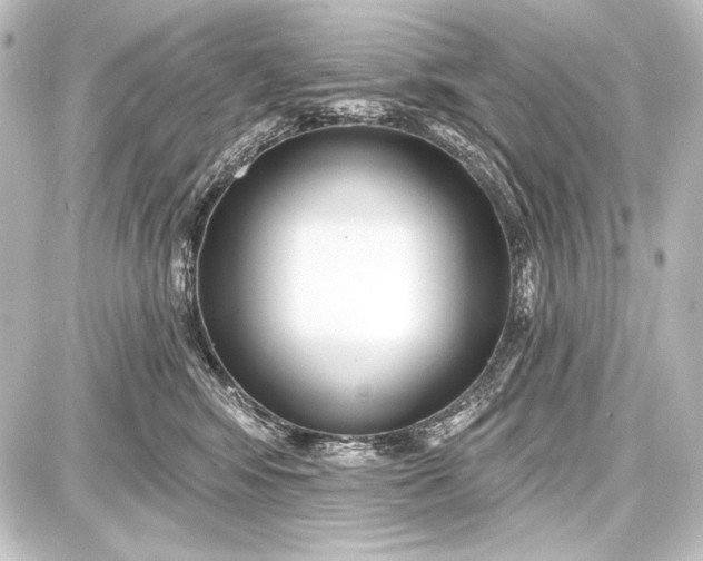 X0000087630424200705181505