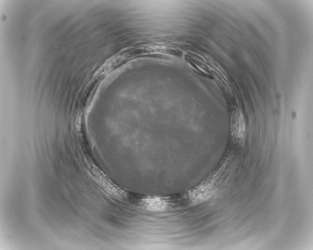 X0000087630425200705181505