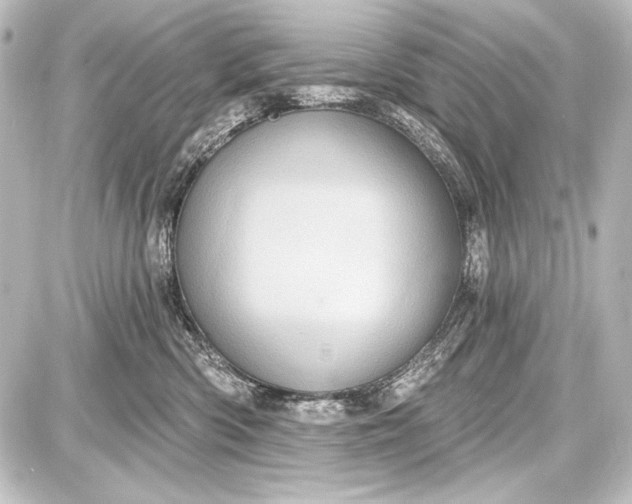 X0000087630426200705181505