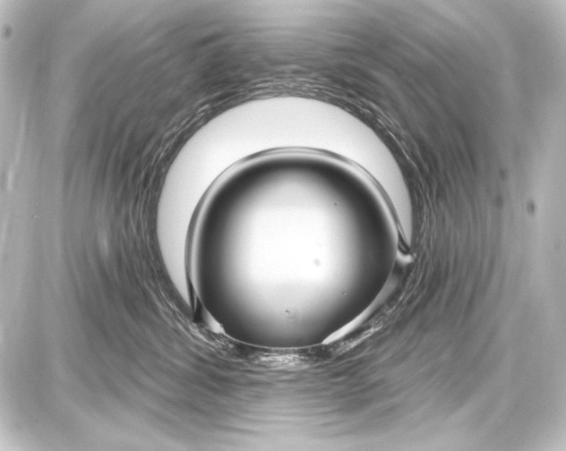 X0000087630428200705181505