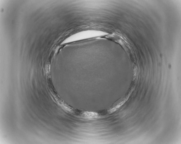 X0000087630429200705181505