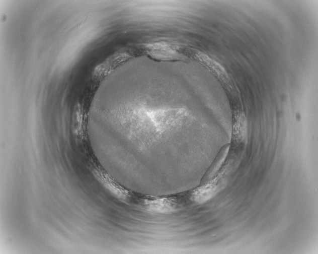 X0000087630430200705181505