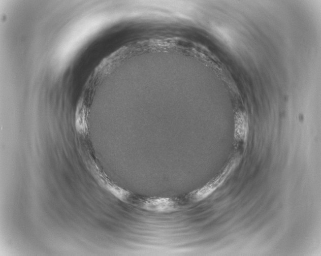 X0000087630431200705181505