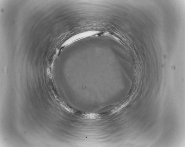 X0000087630432200705181505