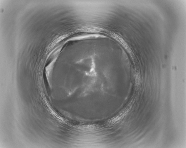 X0000087630433200705181504