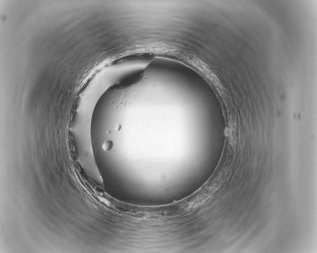 X0000087630434200705181504