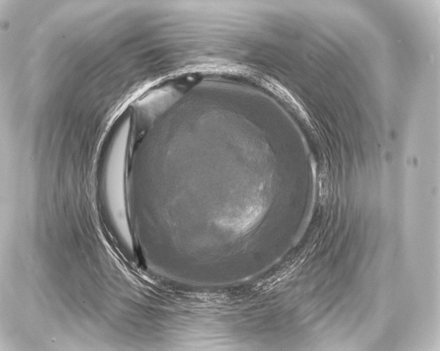 X0000087630436200705181504