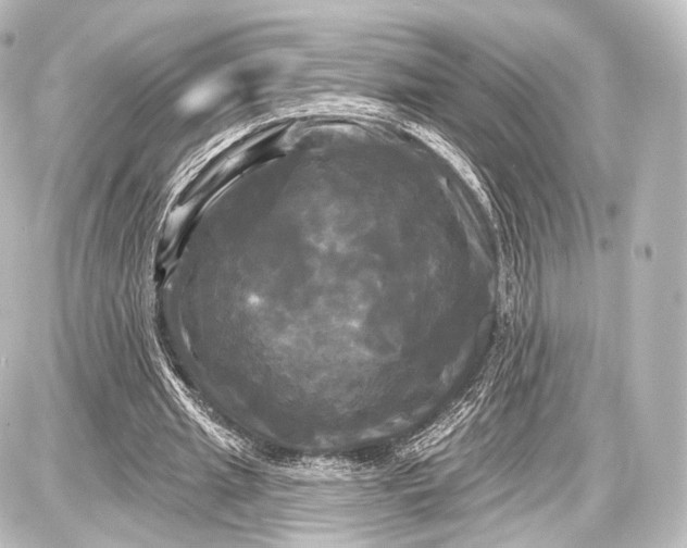 X0000087630437200705181504