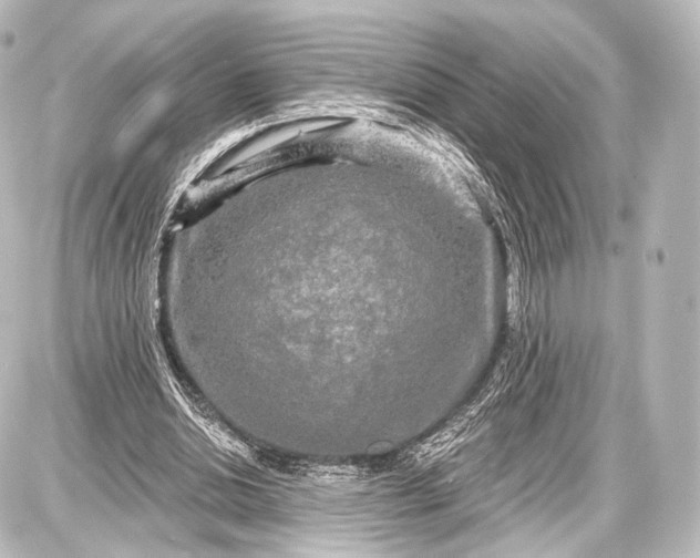 X0000087630438200705181504