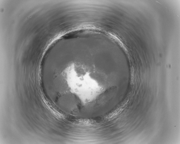 X0000087630439200705181504