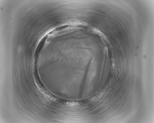 X0000087630440200705181504