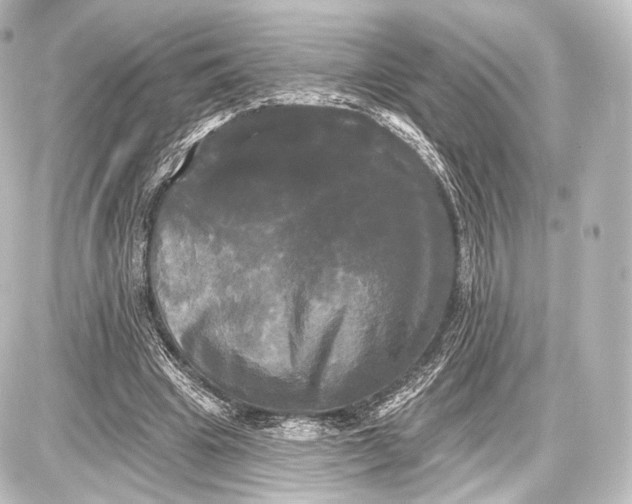 X0000087630441200705181504