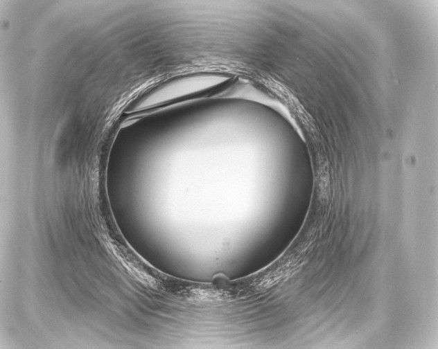 X0000087630442200705181504