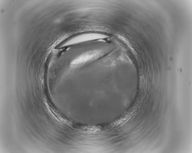 X0000087630443200705181504