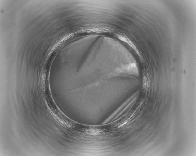 X0000087630444200705181504