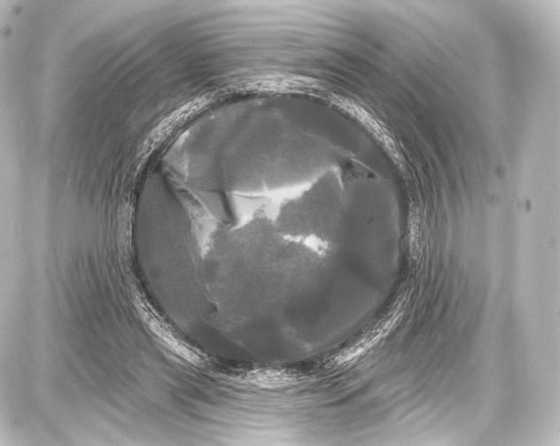 X0000087630445200705181504