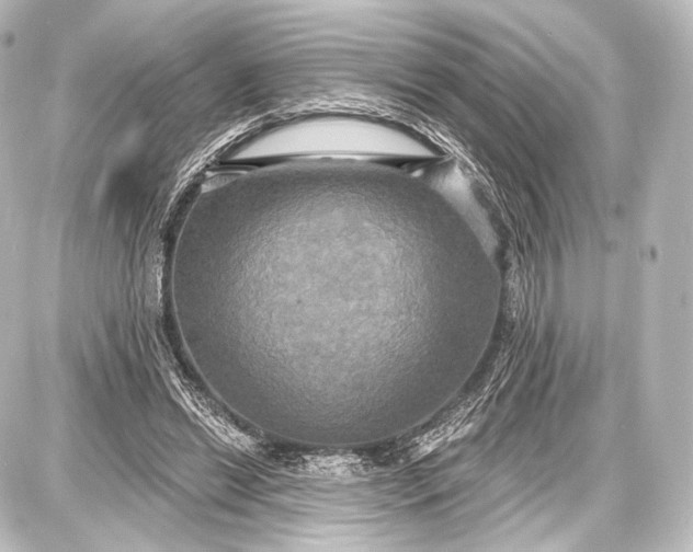 X0000087630446200705181504