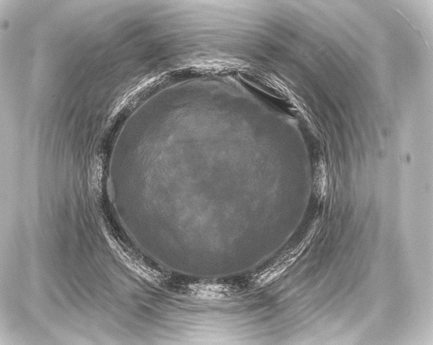 X0000087630448200705181504