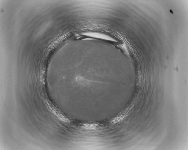 X0000087630450200705181504