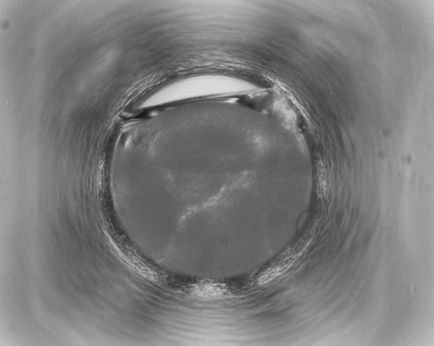 X0000087630451200705181504