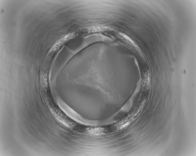 X0000087630452200705181504