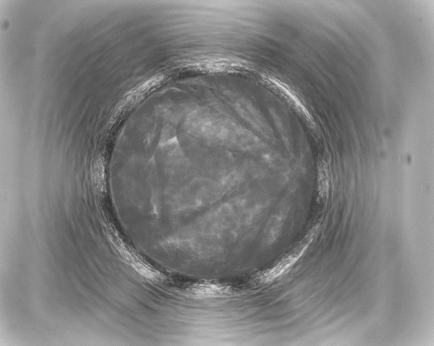 X0000087630453200705181504