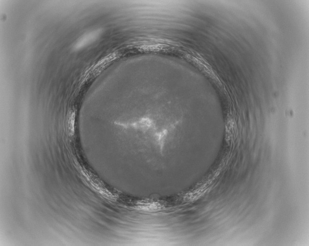 X0000087630454200705181504