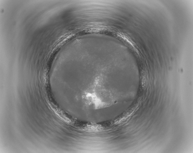 X0000087630455200705181504