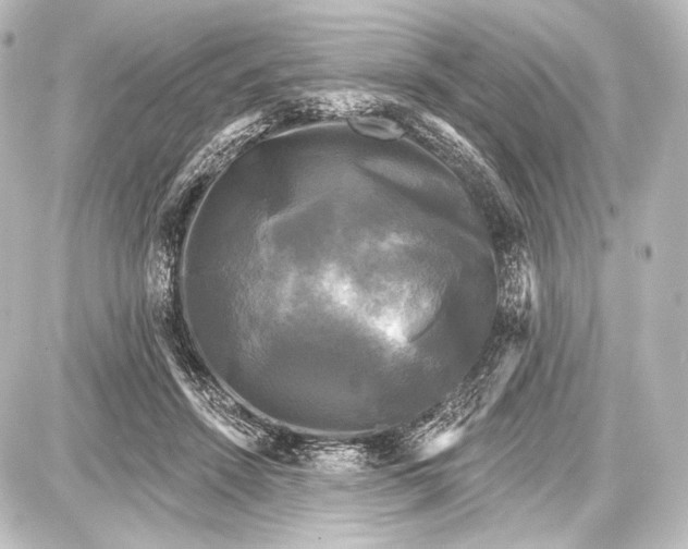 X0000087630456200705181505