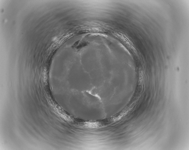 X0000087630457200705181505