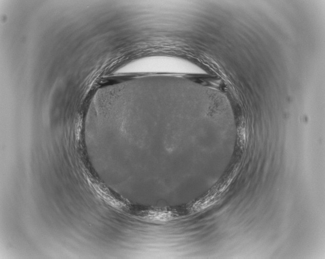 X0000087630458200705181505