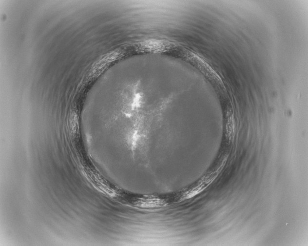 X0000087630459200705181505