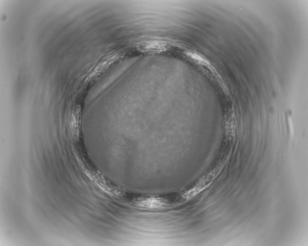 X0000087630460200705181505