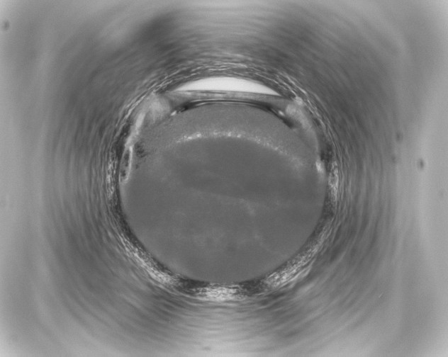 X0000087630462200705181505