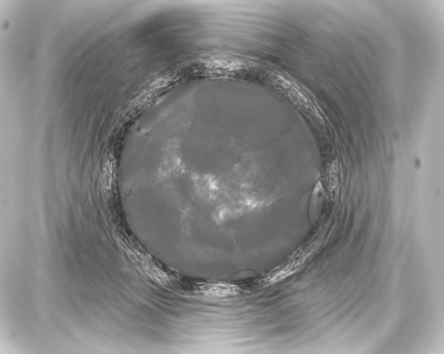 X0000087630463200705181505