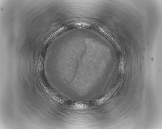 X0000087630464200705181505